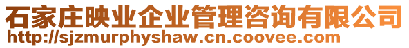 石家莊映業(yè)企業(yè)管理咨詢有限公司