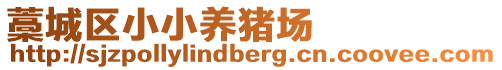 藁城區(qū)小小養(yǎng)豬場