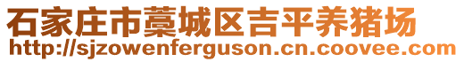 石家莊市藁城區(qū)吉平養(yǎng)豬場