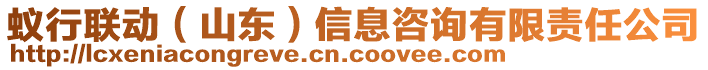 蟻行聯(lián)動（山東）信息咨詢有限責(zé)任公司