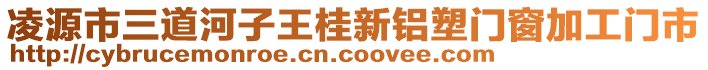 凌源市三道河子王桂新鋁塑門窗加工門市