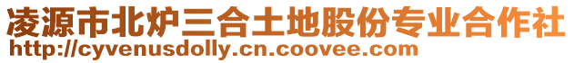 凌源市北爐三合土地股份專業(yè)合作社