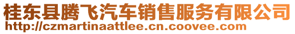 桂東縣騰飛汽車銷售服務有限公司