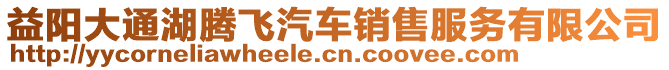 益陽大通湖騰飛汽車銷售服務(wù)有限公司