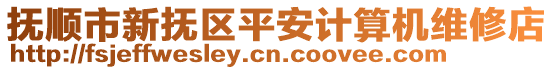 撫順市新?lián)釁^(qū)平安計(jì)算機(jī)維修店