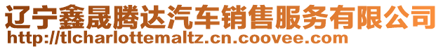 遼寧鑫晟騰達汽車銷售服務有限公司