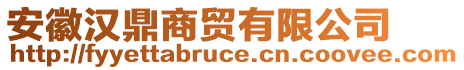 安徽汉鼎商贸有限公司