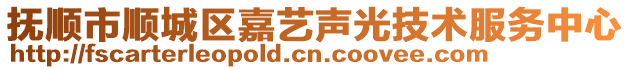 抚顺市顺城区嘉艺声光技术服务中心