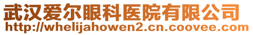 武漢愛爾眼科醫(yī)院有限公司