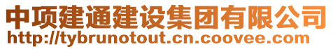 中項(xiàng)建通建設(shè)集團(tuán)有限公司