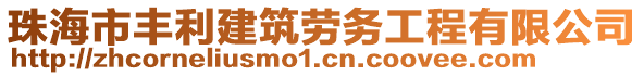 珠海市豐利建筑勞務(wù)工程有限公司