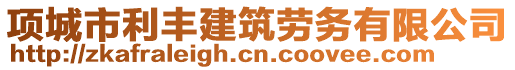 項(xiàng)城市利豐建筑勞務(wù)有限公司