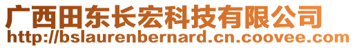 广西田东长宏科技有限公司