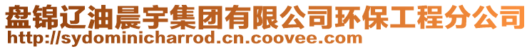 盤錦遼油晨宇集團有限公司環(huán)保工程分公司