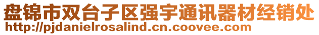 盤錦市雙臺子區(qū)強(qiáng)宇通訊器材經(jīng)銷處