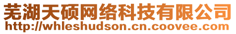 蕪湖天碩網(wǎng)絡(luò)科技有限公司