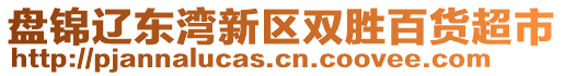 盤錦遼東灣新區(qū)雙勝百貨超市