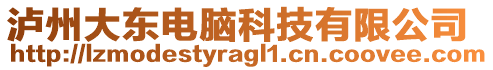 瀘州大東電腦科技有限公司