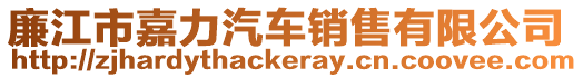 廉江市嘉力汽車銷售有限公司