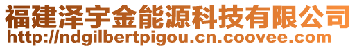 福建澤宇金能源科技有限公司