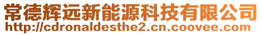 常德輝遠新能源科技有限公司