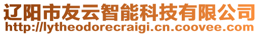 遼陽(yáng)市友云智能科技有限公司