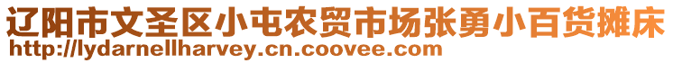 遼陽市文圣區(qū)小屯農(nóng)貿(mào)市場(chǎng)張勇小百貨攤床