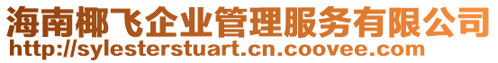 海南椰飛企業(yè)管理服務(wù)有限公司