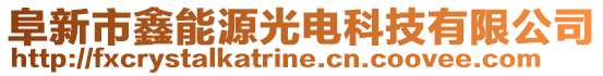 阜新市鑫能源光電科技有限公司