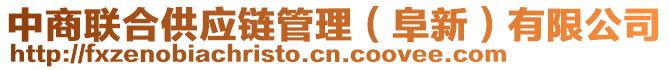 中商聯(lián)合供應(yīng)鏈管理（阜新）有限公司