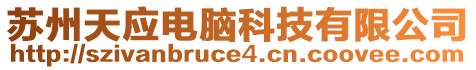 蘇州天應(yīng)電腦科技有限公司