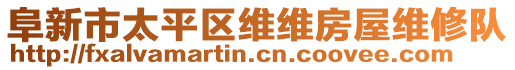 阜新市太平區(qū)維維房屋維修隊(duì)