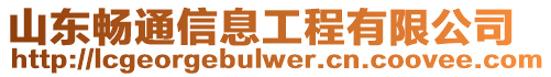 山東暢通信息工程有限公司