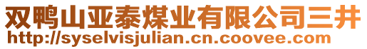 雙鴨山亞泰煤業(yè)有限公司三井