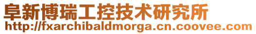 阜新博瑞工控技術(shù)研究所