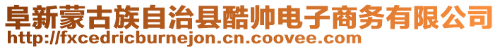 阜新蒙古族自治縣酷帥電子商務(wù)有限公司