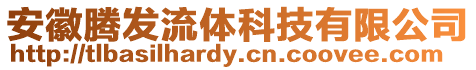 安徽騰發(fā)流體科技有限公司