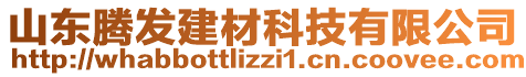 山東騰發(fā)建材科技有限公司