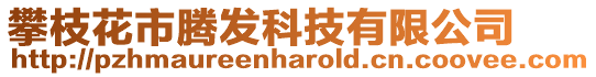 攀枝花市騰發科技有限公司