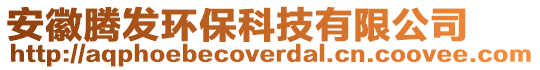 安徽騰發(fā)環(huán)保科技有限公司