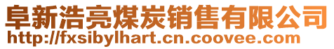 阜新浩亮煤炭銷售有限公司