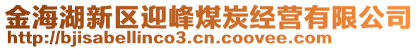 金海湖新區(qū)迎峰煤炭經營有限公司