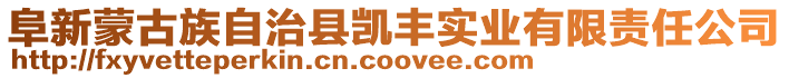 阜新蒙古族自治縣凱豐實業有限責任公司