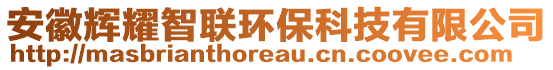 安徽輝耀智聯(lián)環(huán)?？萍加邢薰? style=