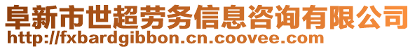 阜新市世超勞務信息咨詢有限公司