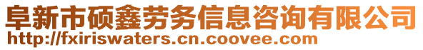 阜新市碩鑫勞務信息咨詢有限公司