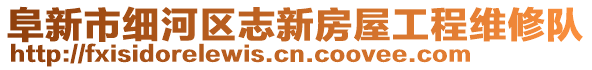 阜新市細(xì)河區(qū)志新房屋工程維修隊(duì)