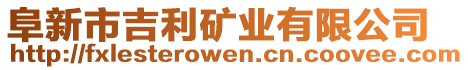 阜新市吉利礦業(yè)有限公司