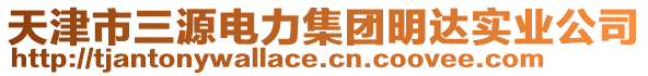 天津市三源電力集團(tuán)明達(dá)實(shí)業(yè)公司