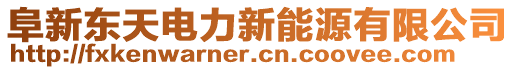 阜新東天電力新能源有限公司